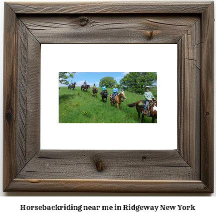 horseback riding near me in Ridgeway, New York